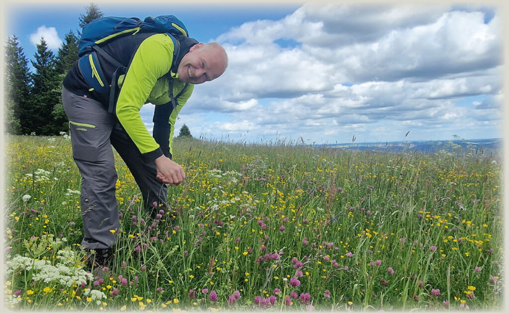 Kräuter Wanderungen
